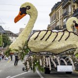 Les organisateurs de la Fête des vendanges ont vu grand cette année pour leur traditionnel corso fleuri. KEYSTONE/JEAN-CHRISTOPHE BOTT